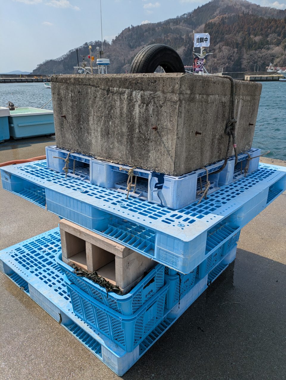 綾里ワカメ大作戦！の活動の様子