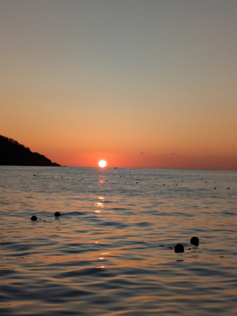 綾里ワカメ大作戦！の活動の様子