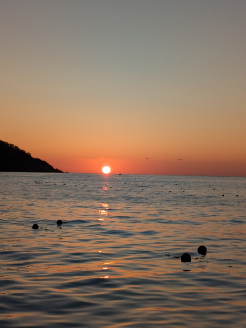 綾里ワカメ大作戦！の活動の様子