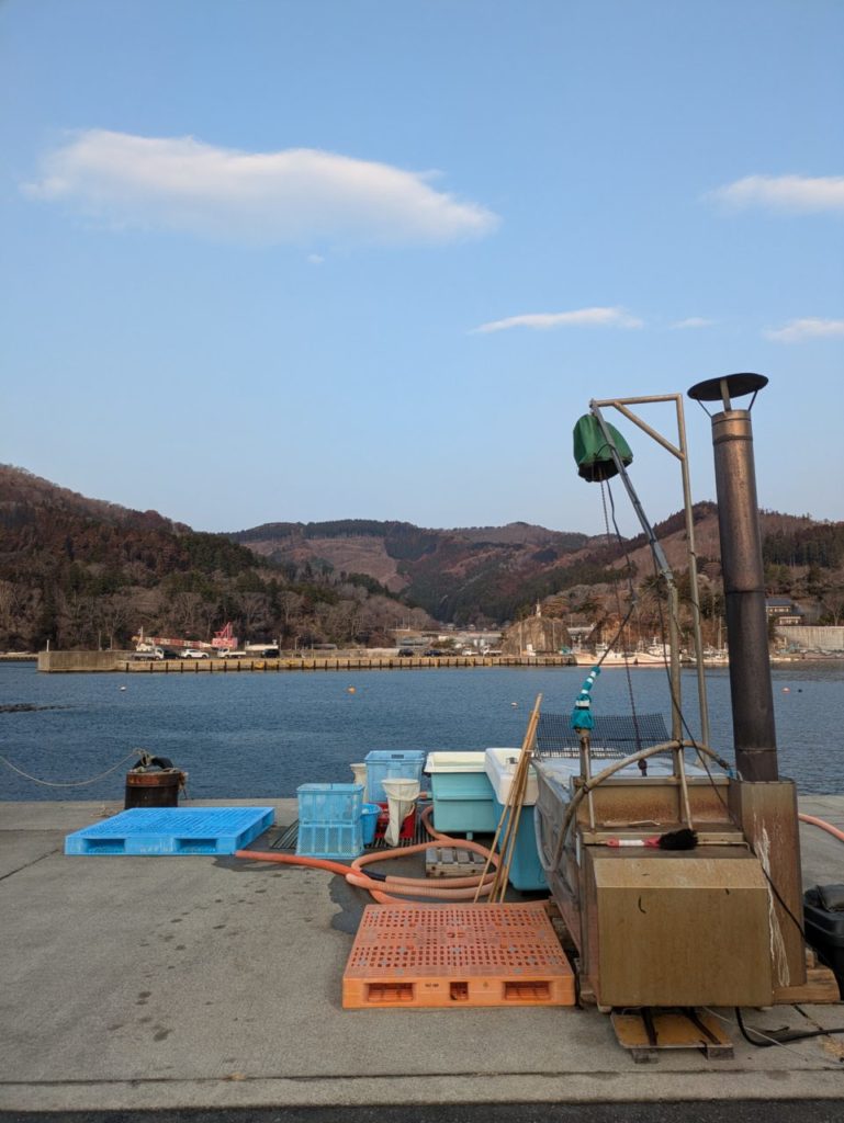 綾里ワカメ大作戦！の活動の様子