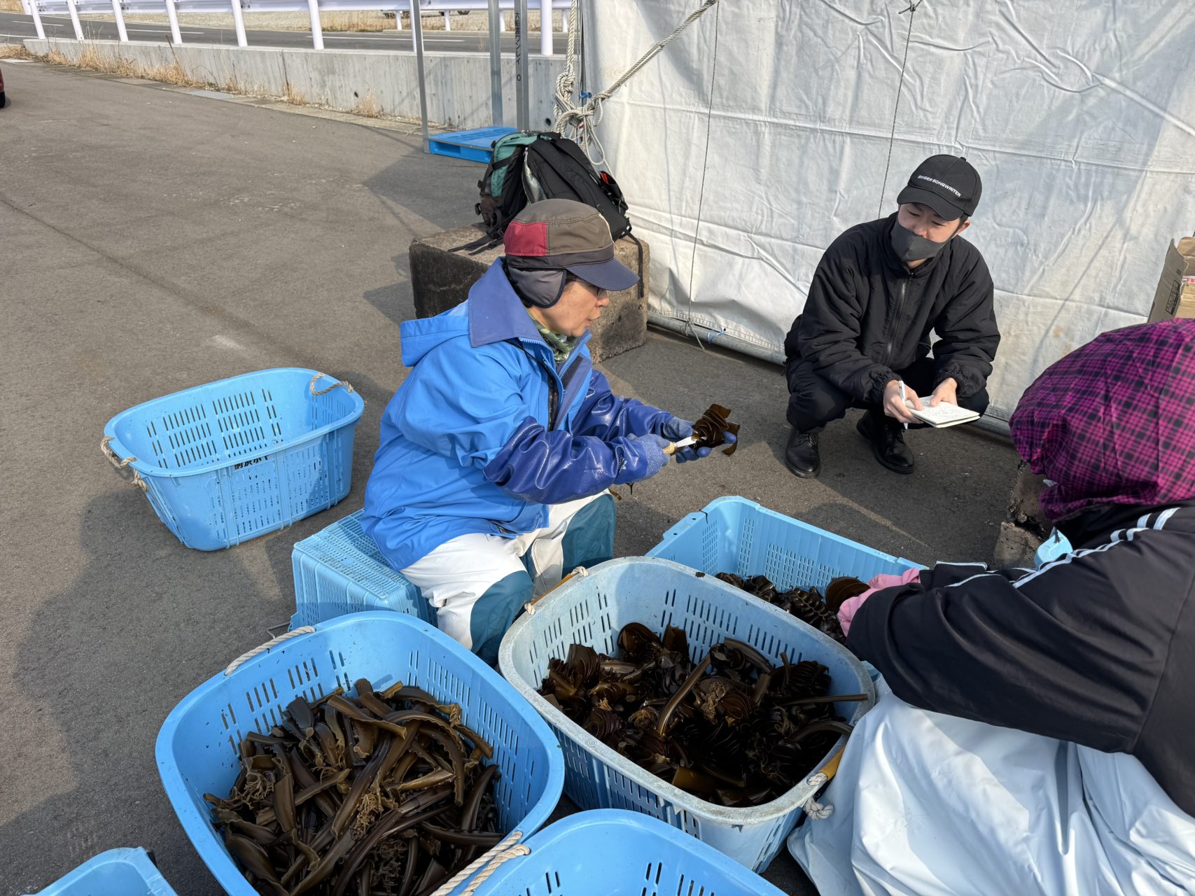 綾里ワカメ大作戦！の活動の様子