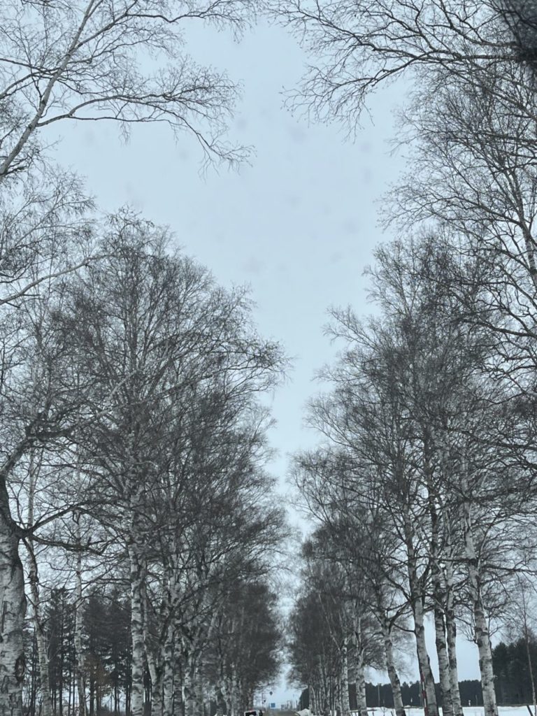 村おこしボランティア【然別湖コタンコース】での活動の様子