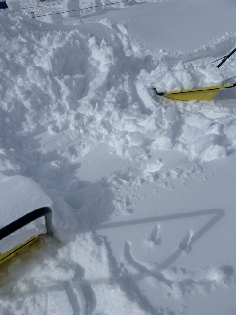村おこしボランティア【然別湖コタンコース】での活動の様子