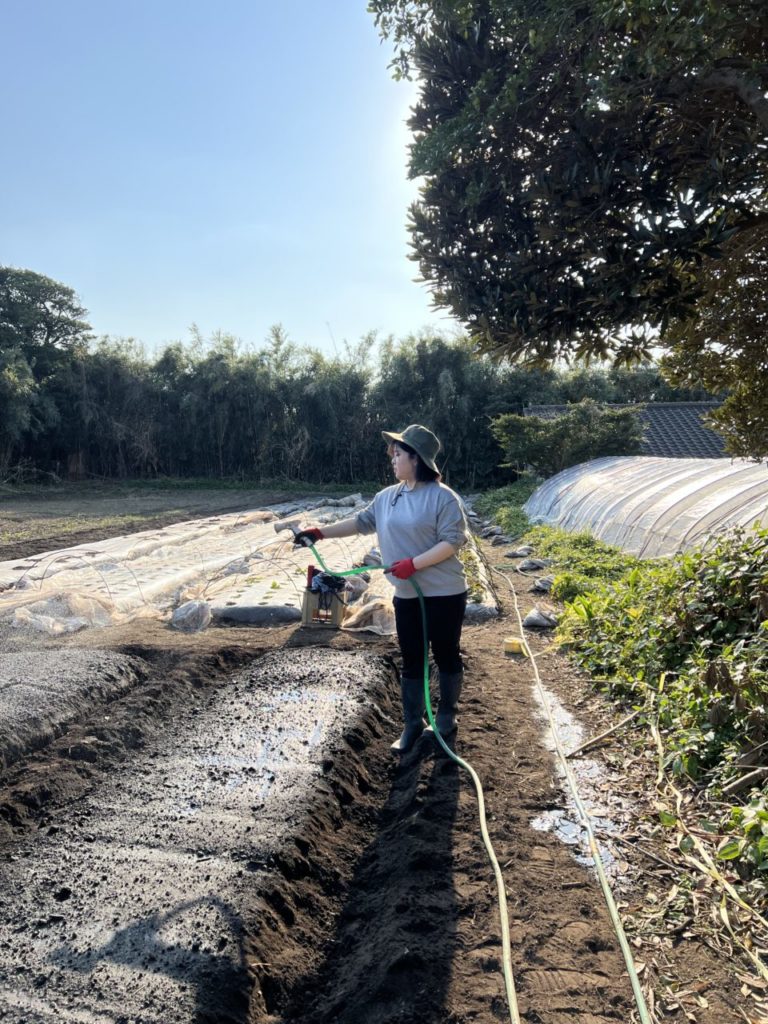 村おこしボランティア【種子島コース】での活動の様子