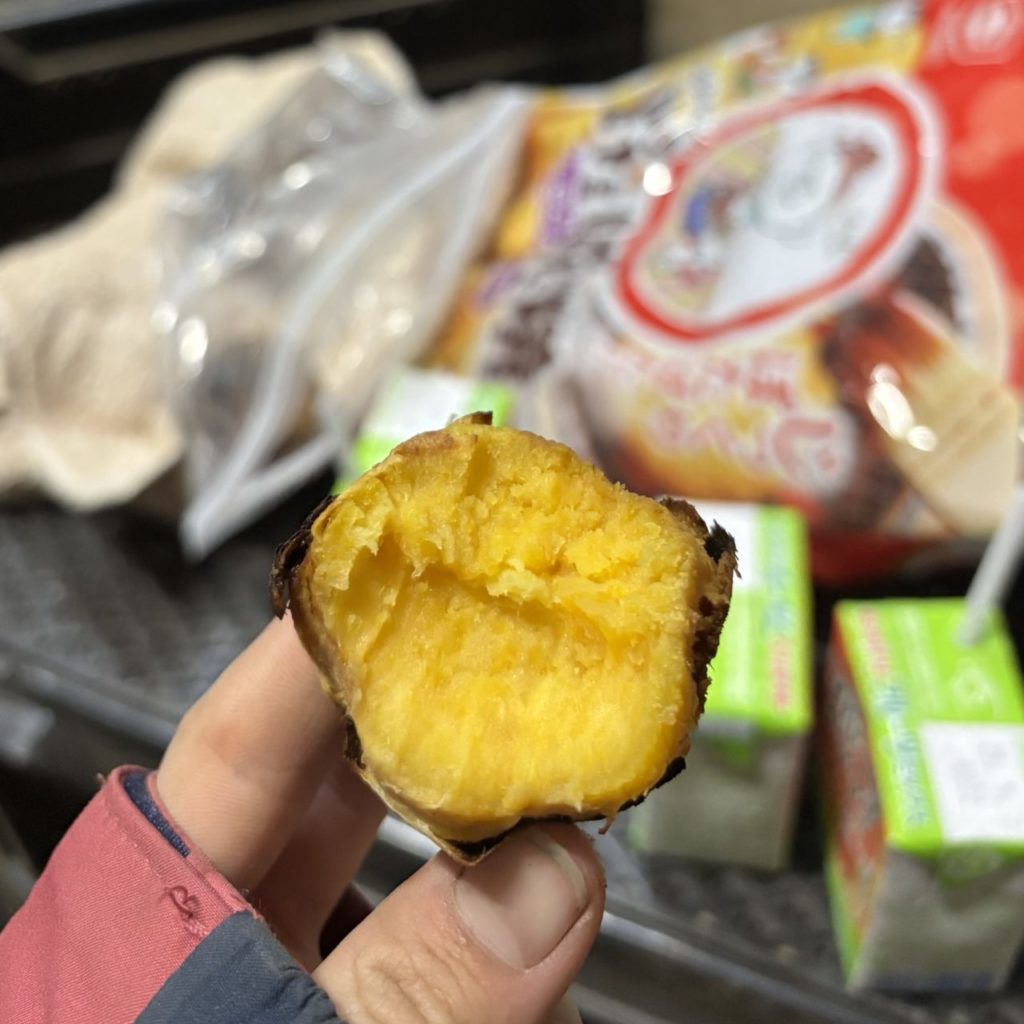 村おこしボランティア【種子島コース】での活動の様子