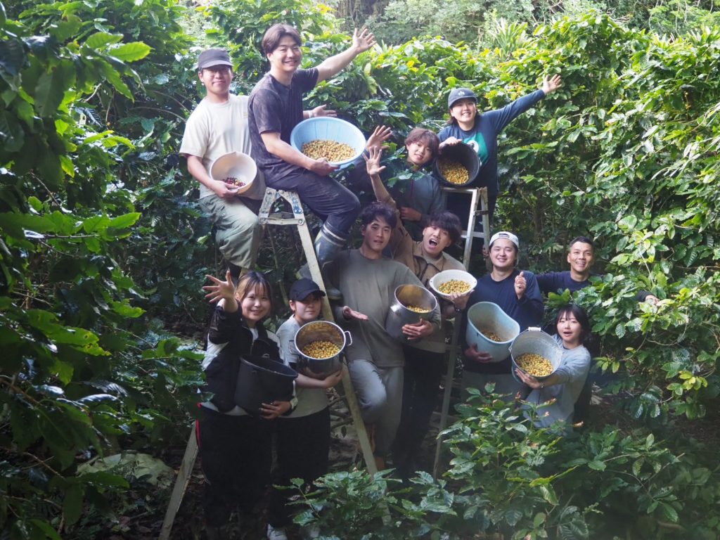 村おこしボランティア【徳之島コース】での活動の様子