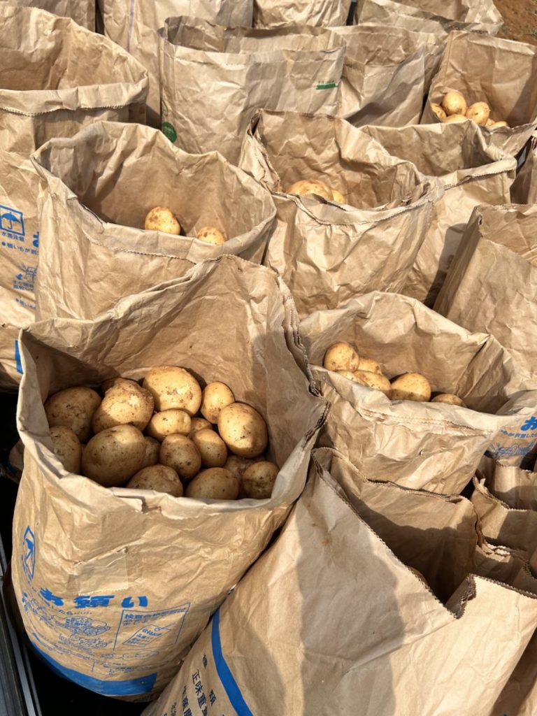 村おこしボランティア【徳之島コース】での活動の様子