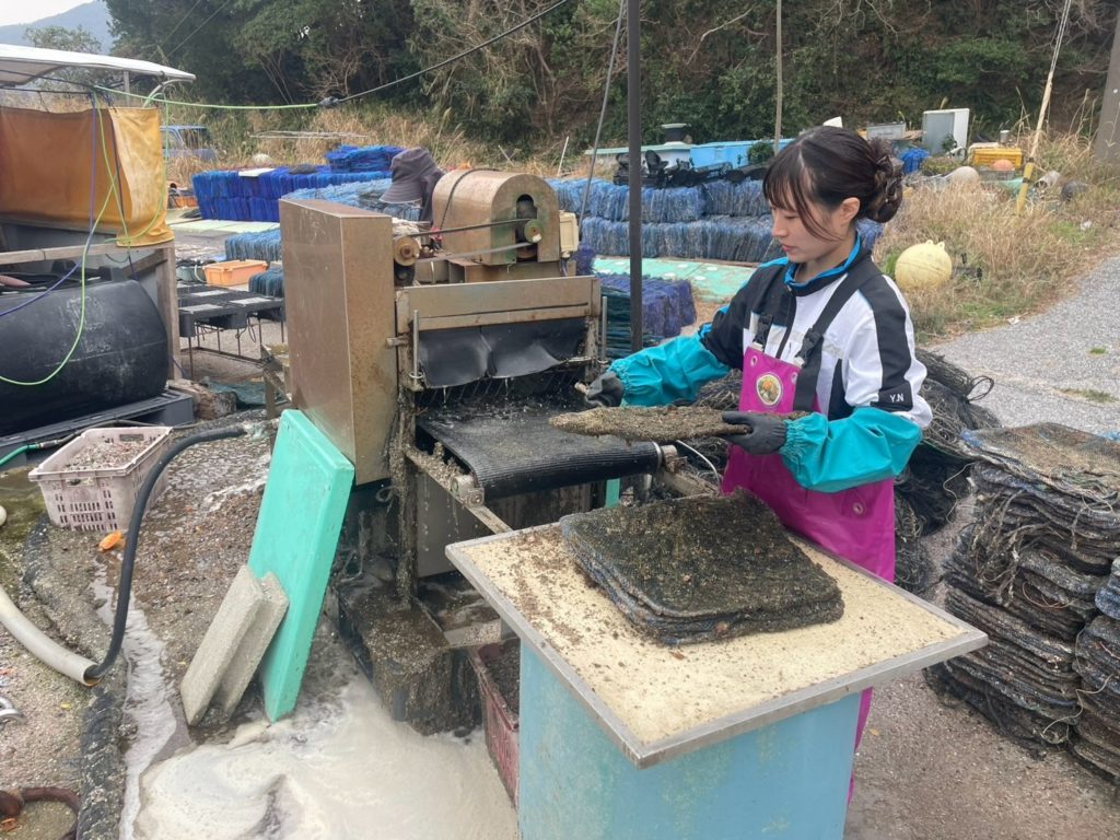 村おこしボランティア【屋形島コース】での活動の様子