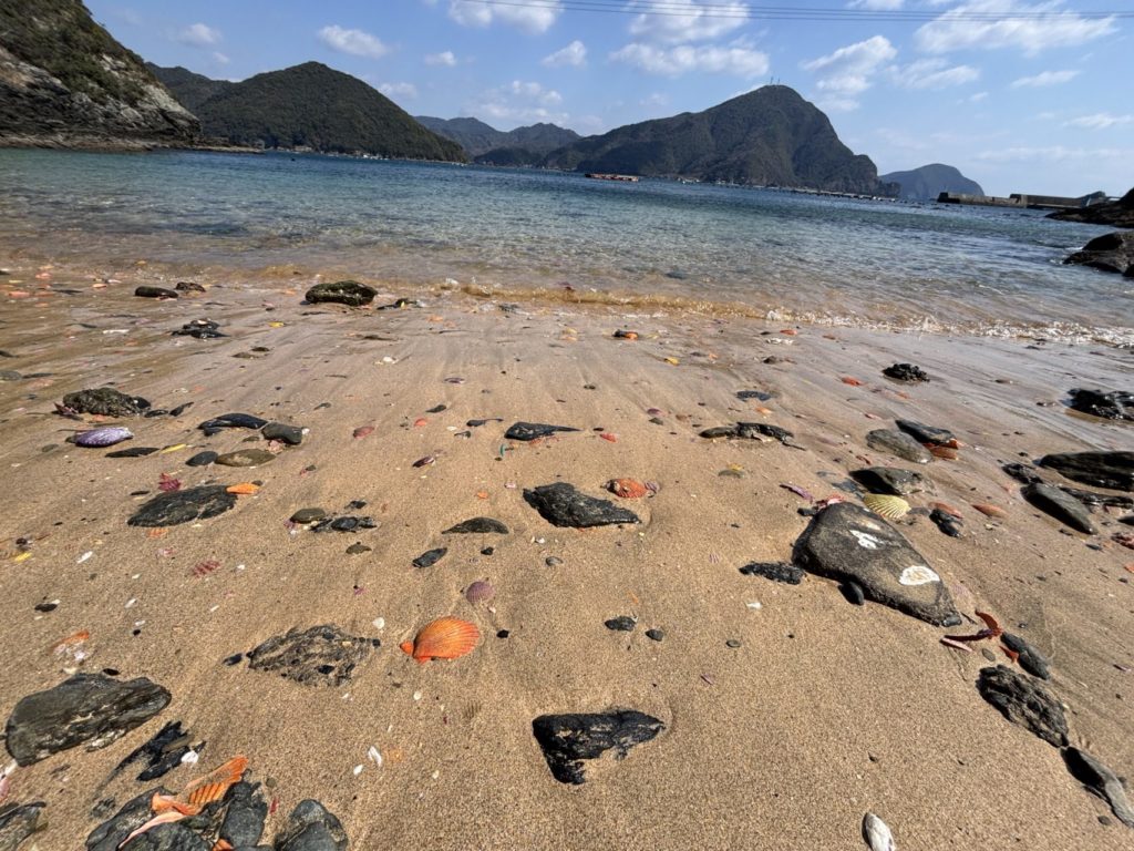 村おこしボランティア【屋形島コース】での活動の様子