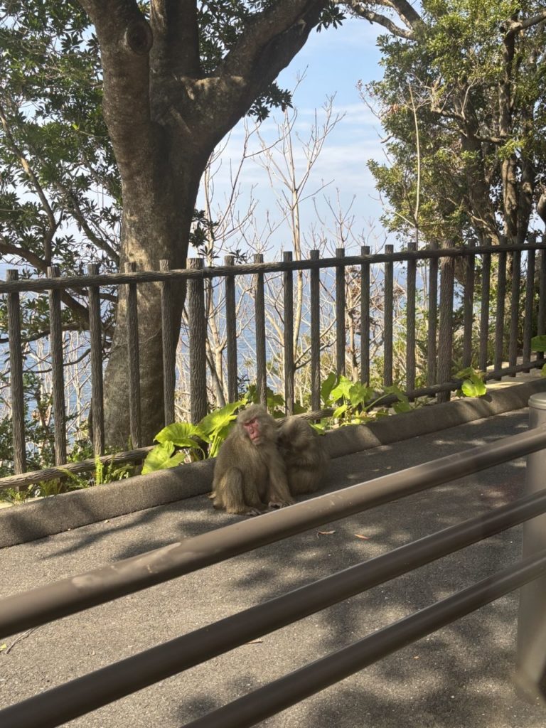 村おこしボランティア【屋久島コース】での活動の様子