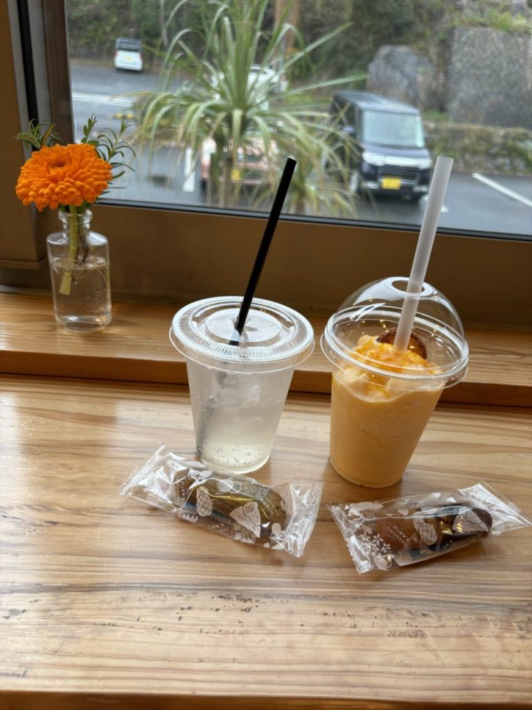 村おこしボランティア【屋久島コース】での活動の様子