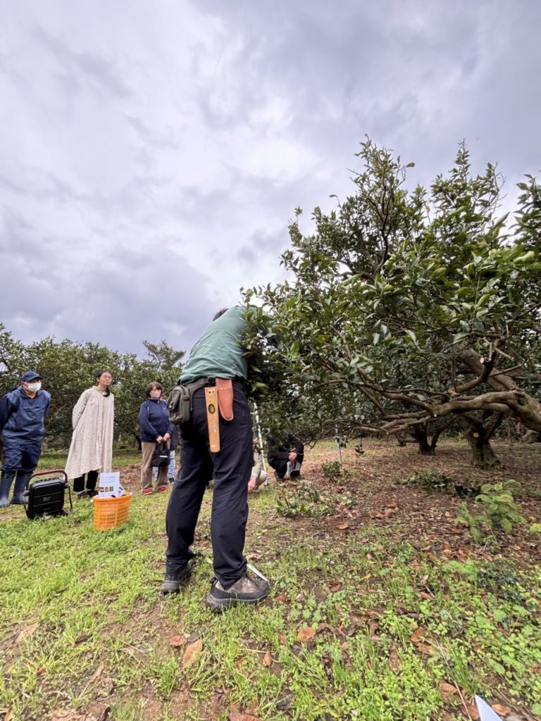 村おこしボランティア【屋久島コース】での活動の様子