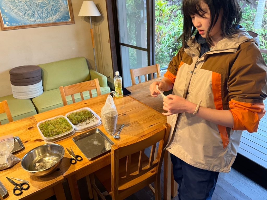 村おこしボランティア【屋久島コース】での活動の様子