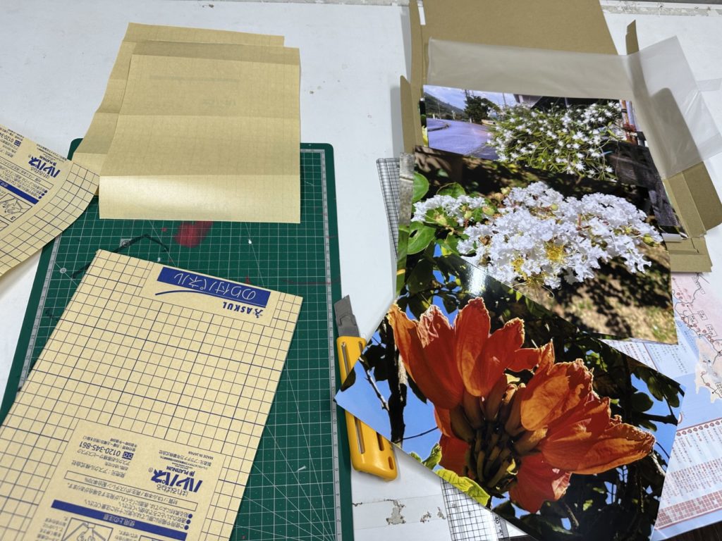 村おこしボランティア【沖縄やんばるコース】での活動の様子