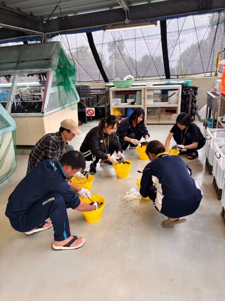 村おこしボランティア【沖縄やんばるコース】での活動の様子