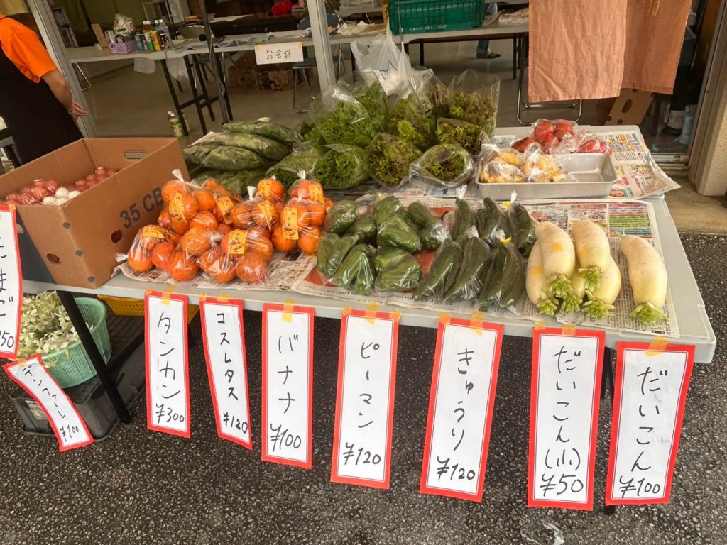 村おこしボランティア【沖縄やんばるコース】での活動の様子