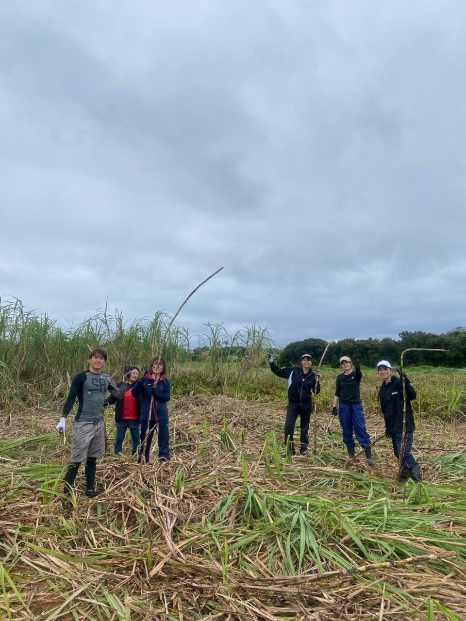 村おこしボランティア【与論島コース】での活動の様子