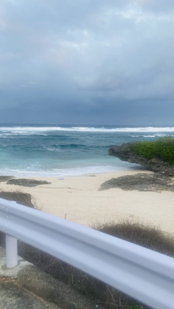 村おこしボランティア【与論島コース】での活動の様子