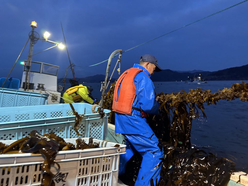 綾里ワカメ大作戦！の活動の様子