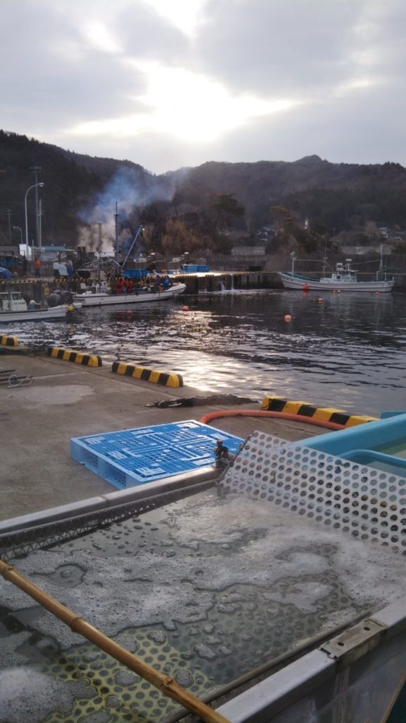 綾里ワカメ大作戦！の活動の様子