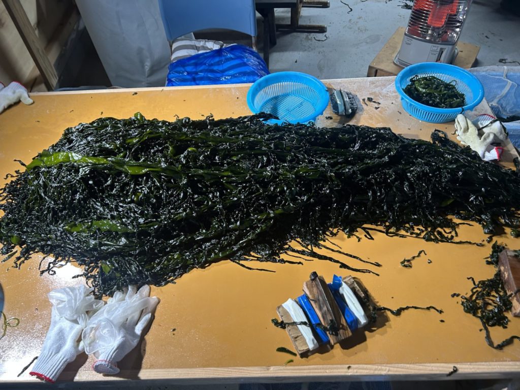 綾里ワカメ大作戦！の活動の様子