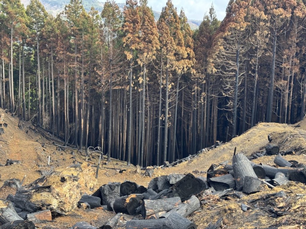 綾里ワカメ大作戦！の活動の様子