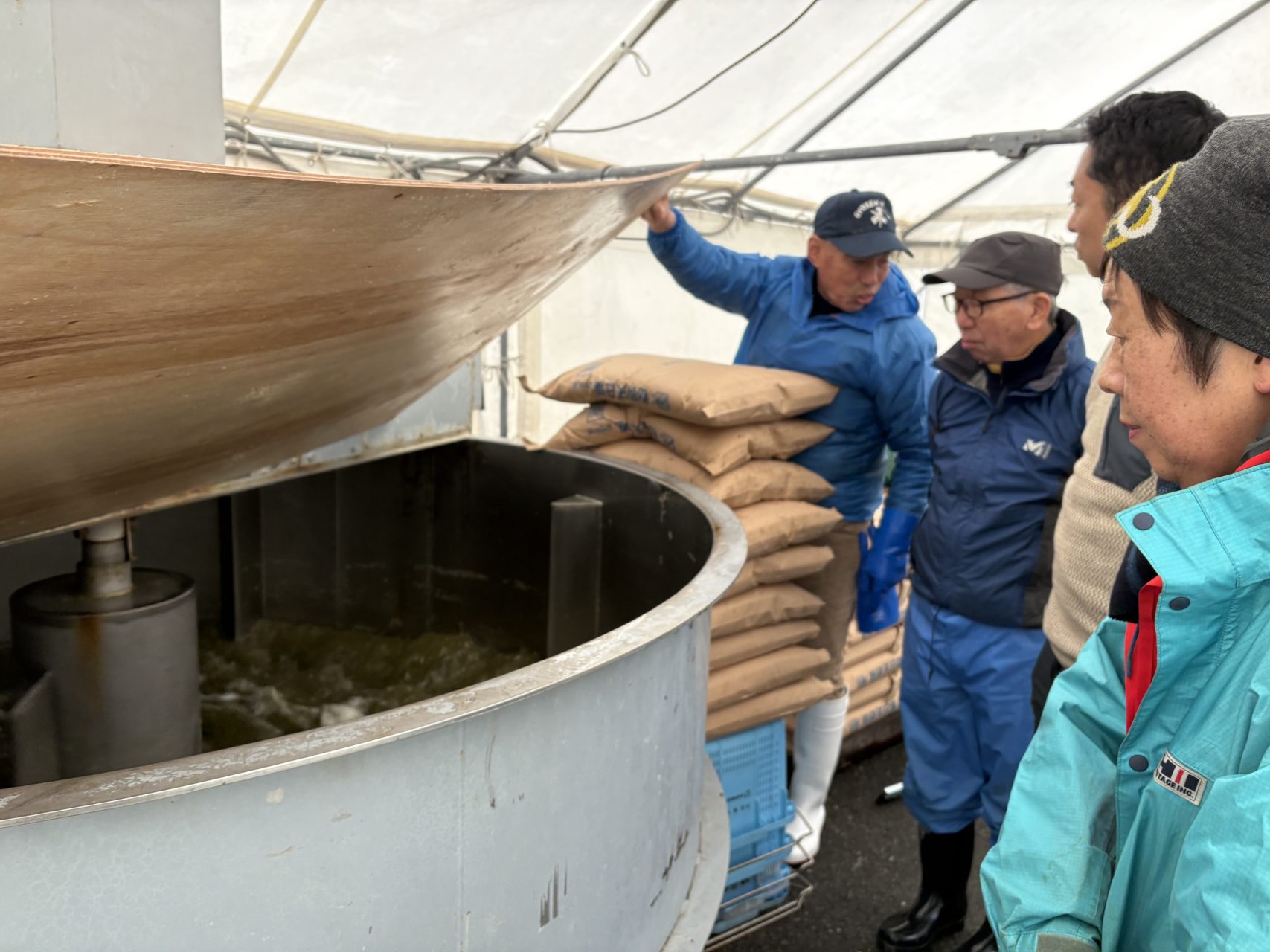 綾里ワカメ大作戦！の活動の様子