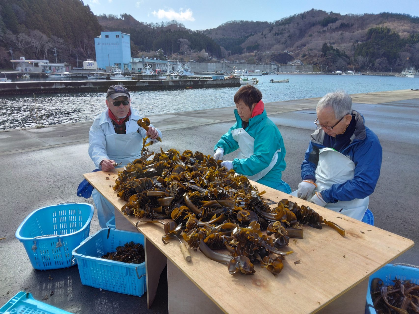 綾里ワカメ大作戦！の活動の様子