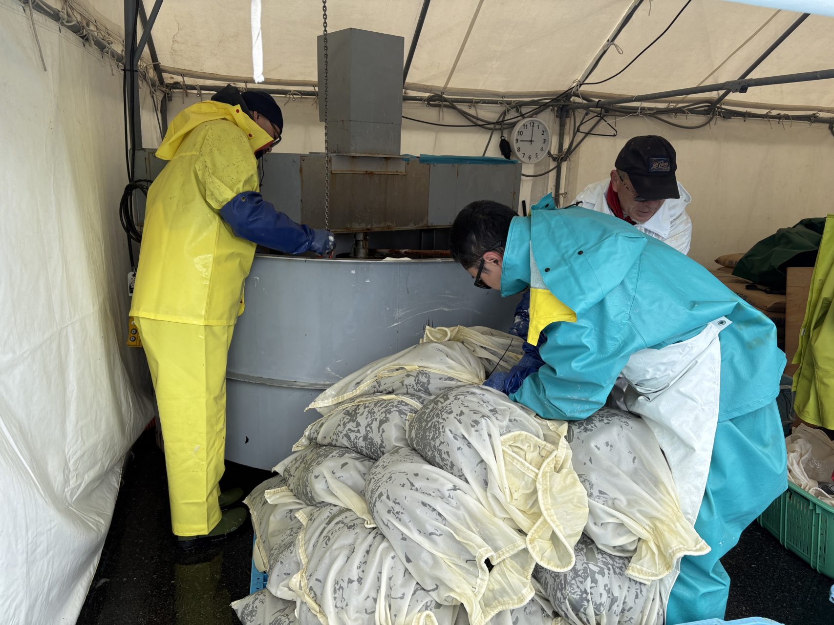 綾里ワカメ大作戦！の活動の様子