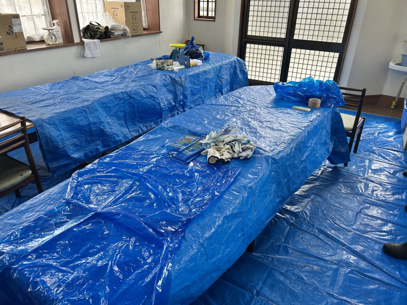 綾里ワカメ大作戦！の活動の様子