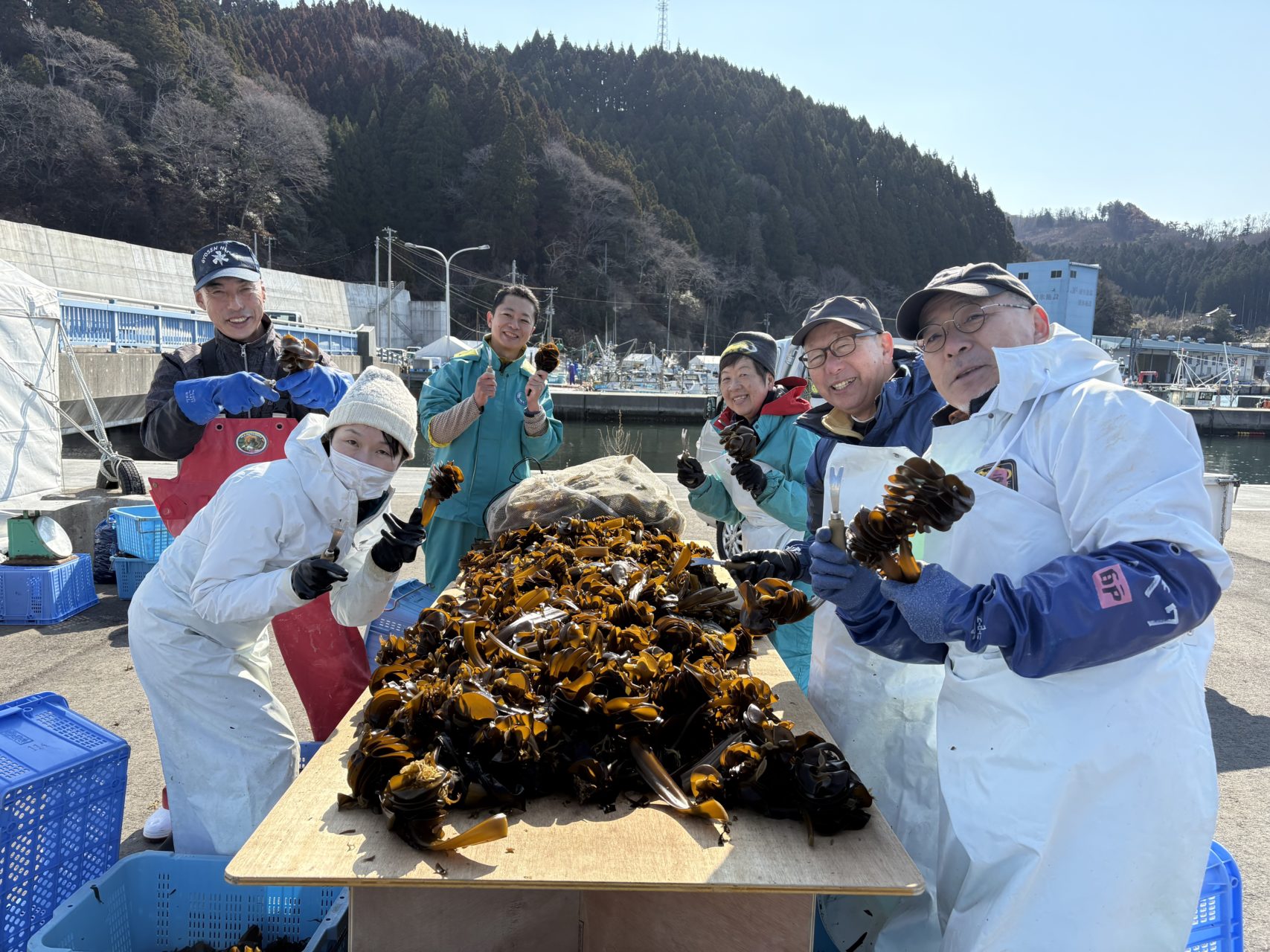 綾里ワカメ大作戦！の活動の様子