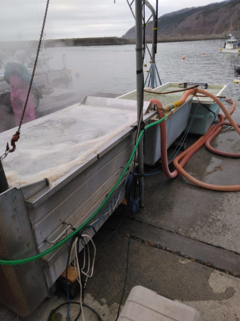 綾里ワカメ大作戦！の活動の様子