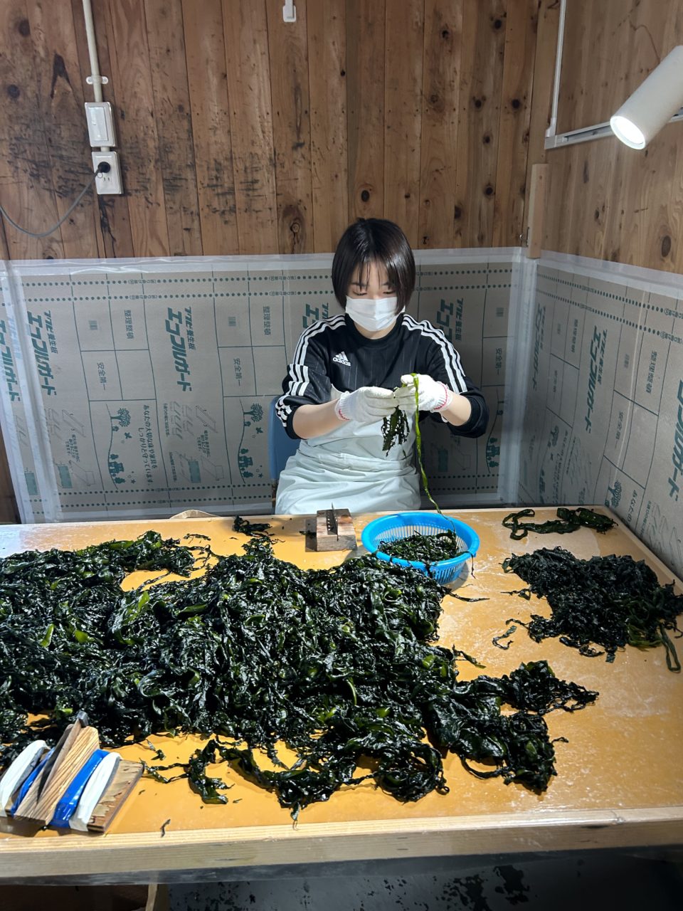 綾里ワカメ大作戦！の活動の様子