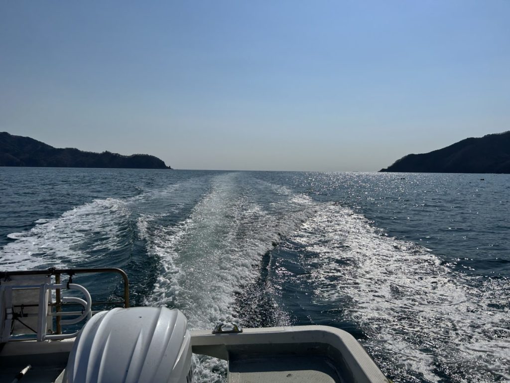 綾里ワカメ大作戦！の活動の様子