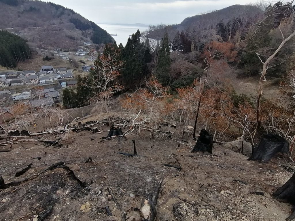 綾里ワカメ大作戦！の活動の様子