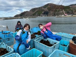 綾里ワカメ大作戦！の活動の様子