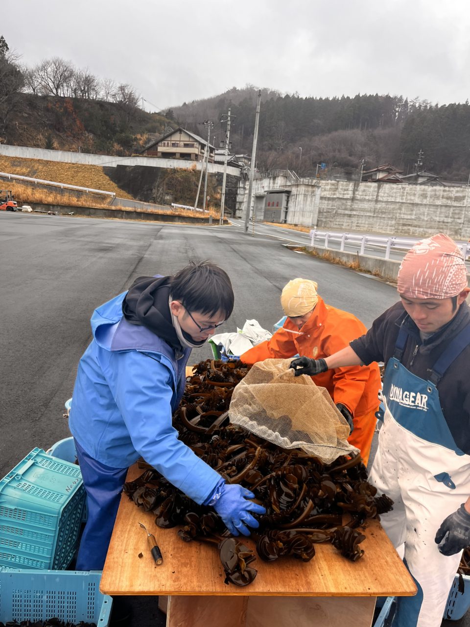 綾里ワカメ大作戦！の活動の様子