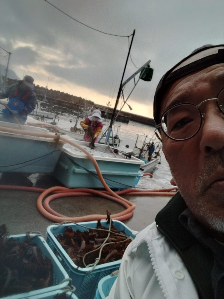 綾里ワカメ大作戦！の活動の様子