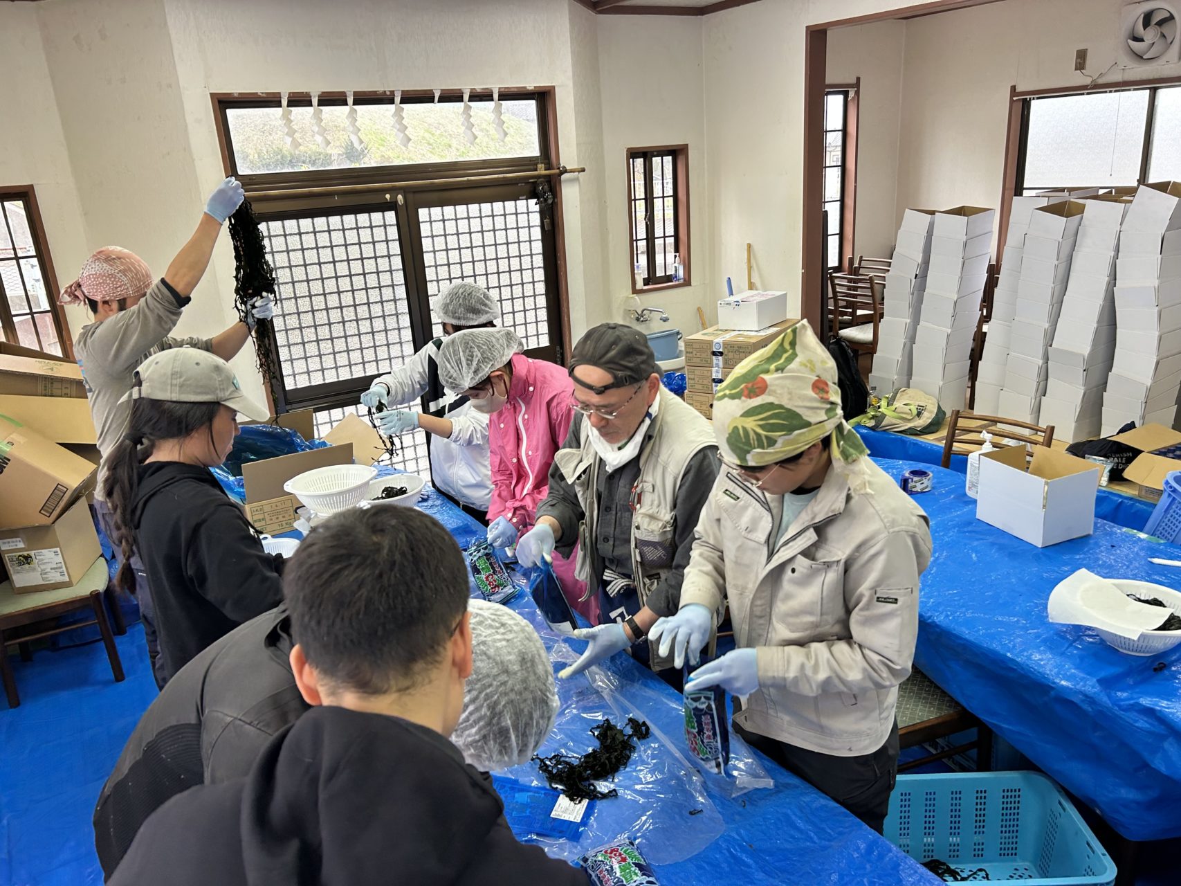 綾里ワカメ大作戦！の活動の様子