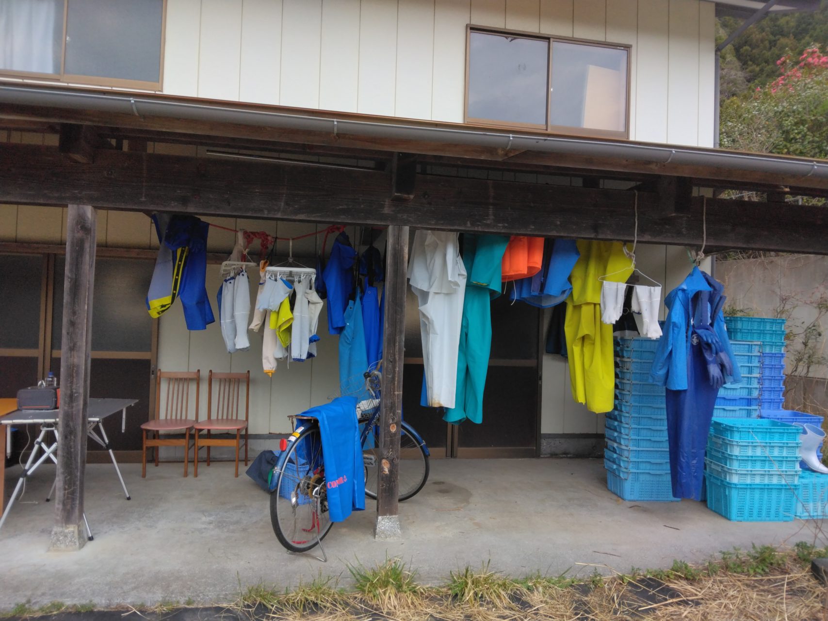 綾里ワカメ大作戦！の活動の様子