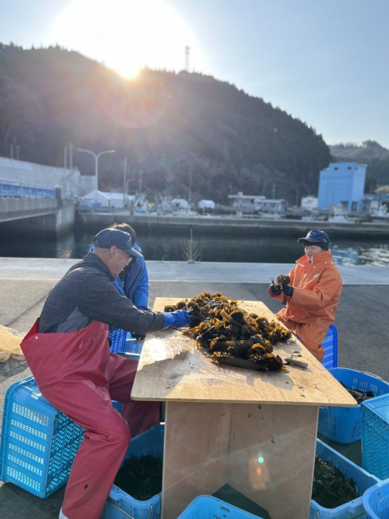 綾里ワカメ大作戦！の活動の様子