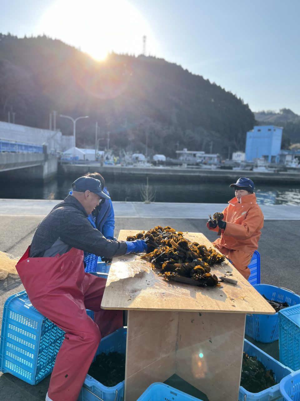 綾里ワカメ大作戦！の活動の様子