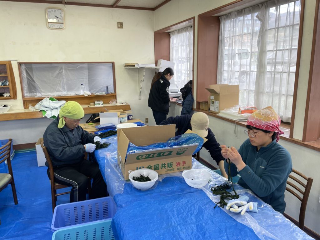 綾里ワカメ大作戦！の活動の様子