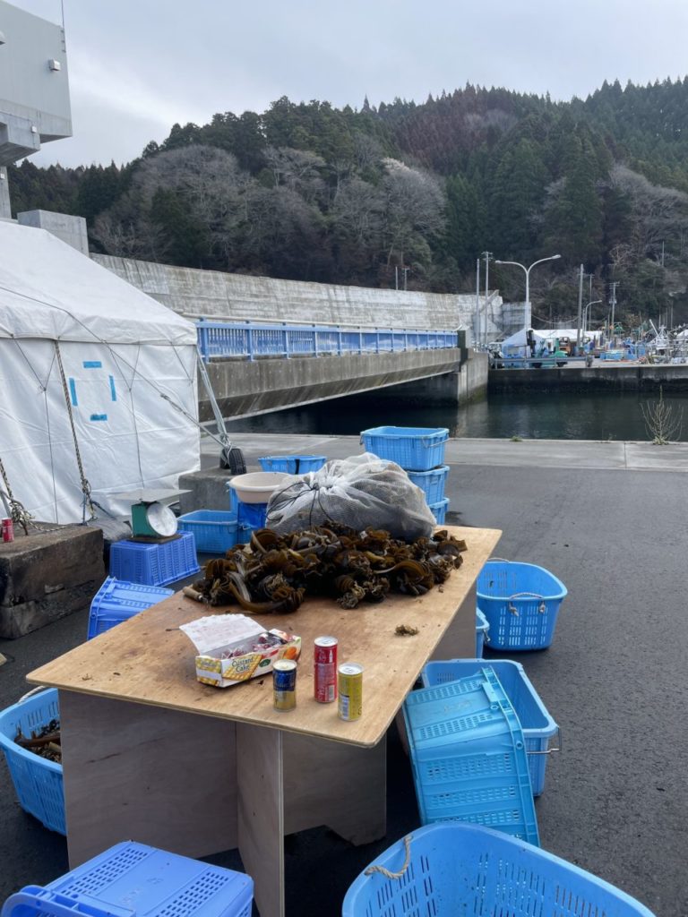 綾里ワカメ大作戦！の活動の様子