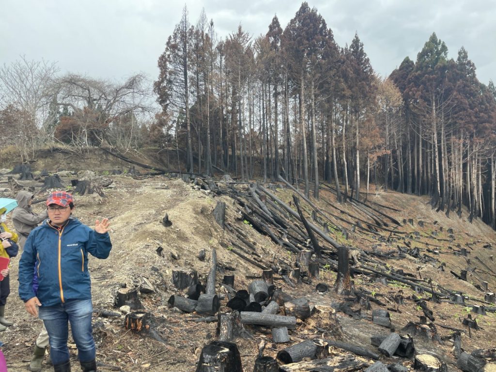綾里ワカメ大作戦！の活動の様子