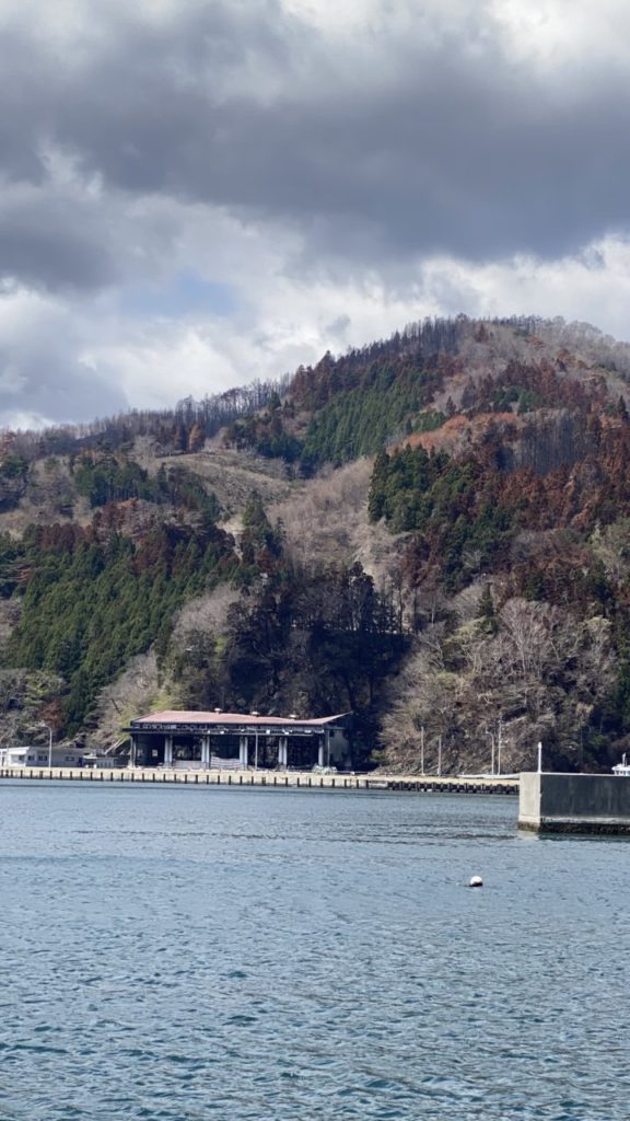 綾里ワカメ大作戦！の活動の様子