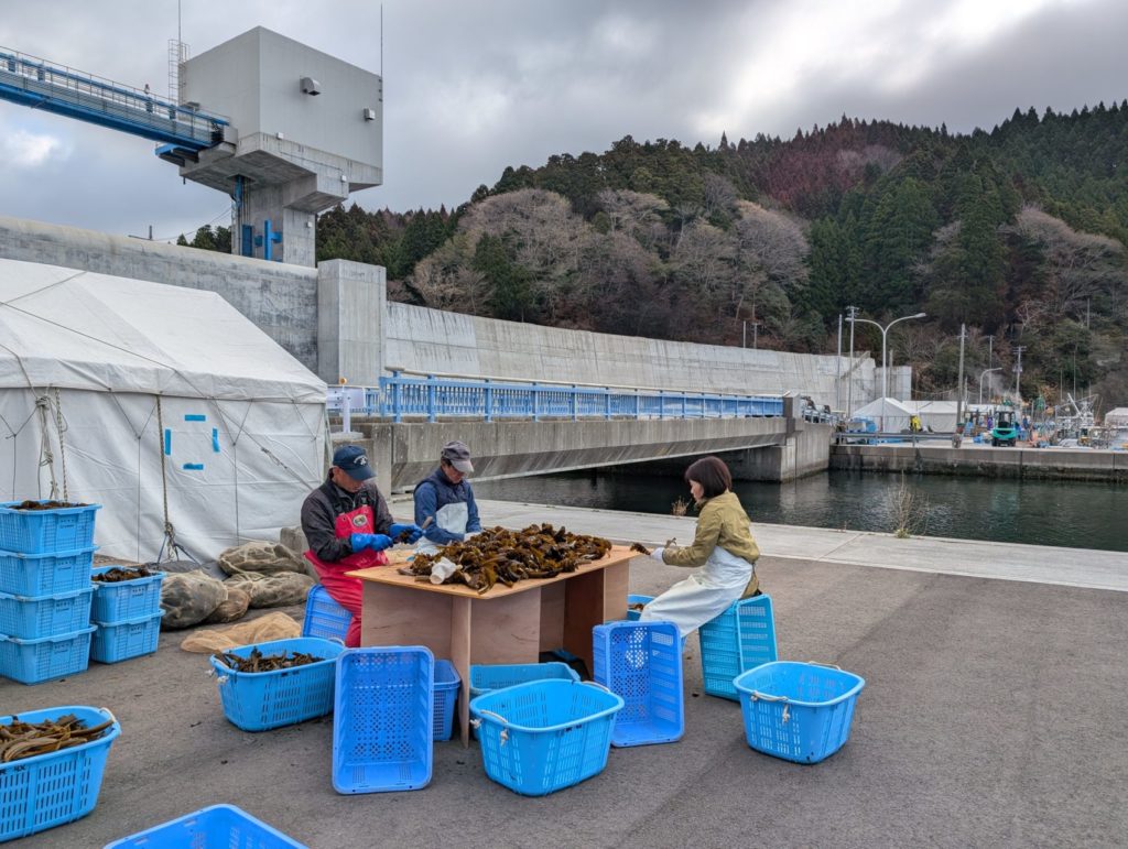 綾里ワカメ大作戦！の活動の様子
