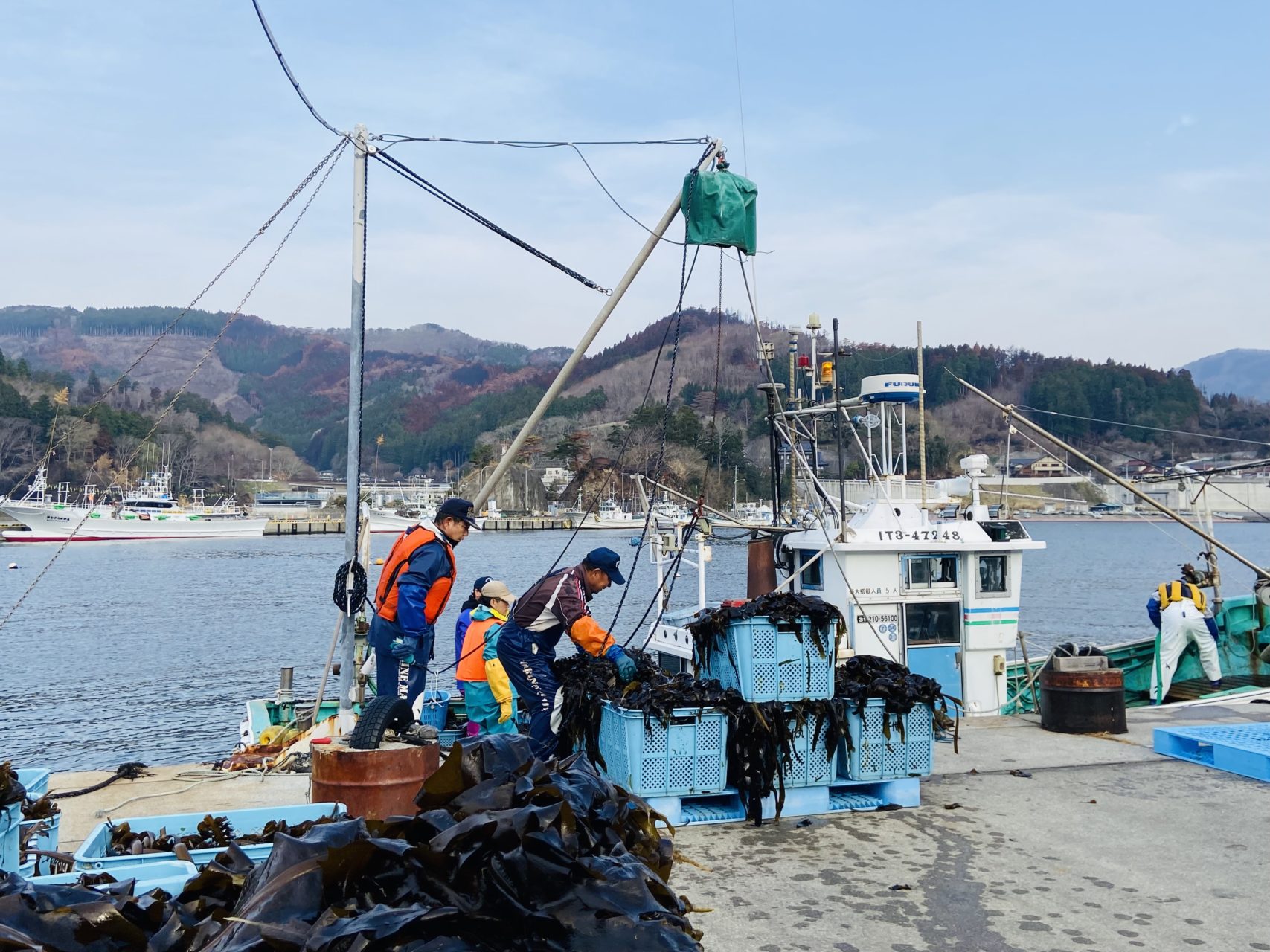 綾里ワカメ大作戦！の活動の様子