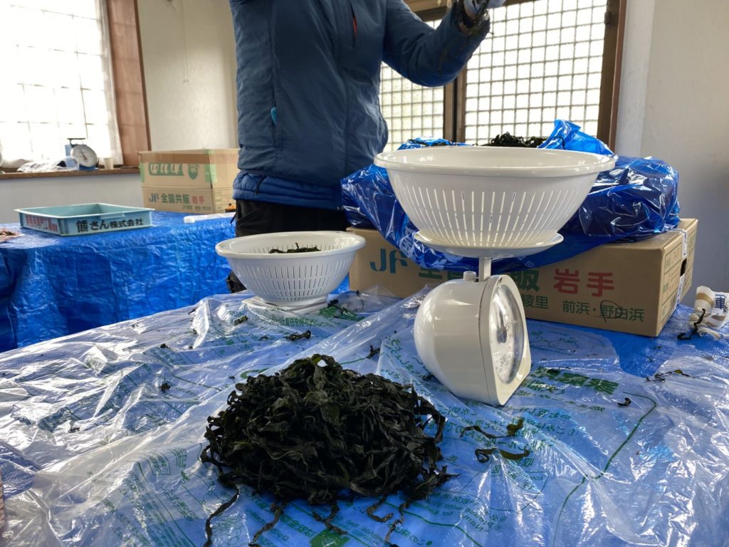 綾里ワカメ大作戦！の活動の様子