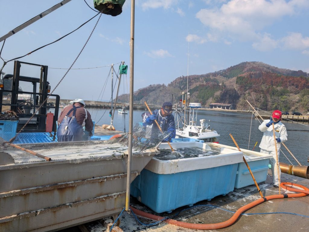 綾里ワカメ大作戦！の活動の様子